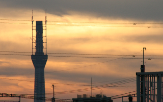 空を彩るスカイツリー